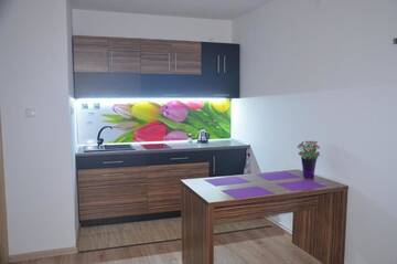 Фото номера Апартаменты с 1 спальней Апартаменты Apartament Masovia г. Мронгово 17